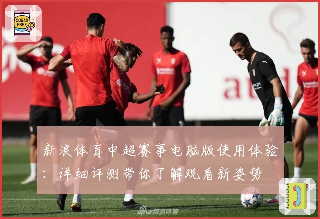 新浪体育中超赛事电脑版使用体验：详细评测带你了解观看新姿势