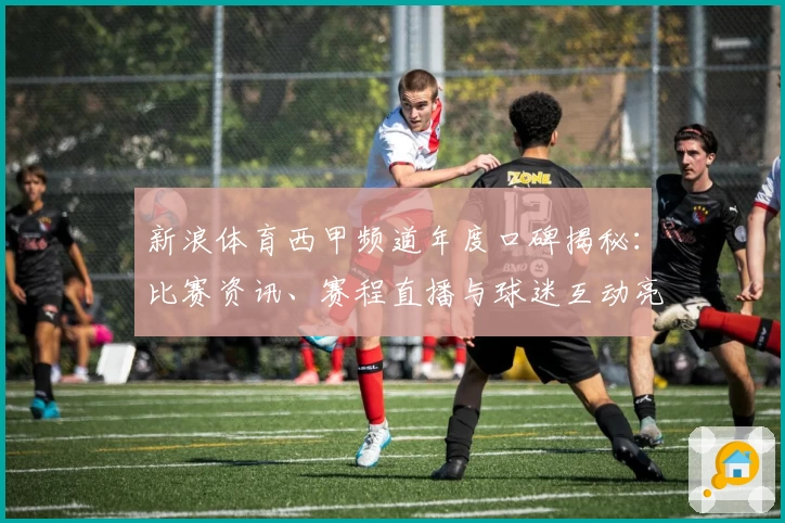 新浪体育西甲频道年度口碑揭秘：比赛资讯、赛程直播与球迷互动亮点解析