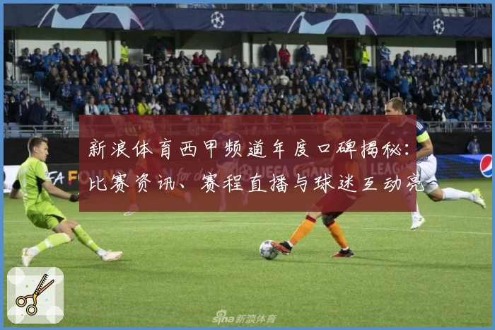 新浪体育西甲频道年度口碑揭秘：比赛资讯、赛程直播与球迷互动亮点解析