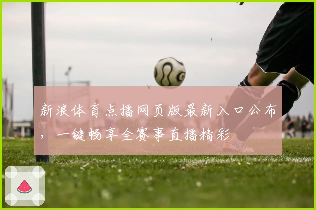 新浪体育点播网页版最新入口公布，一键畅享全赛事直播精彩