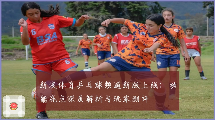 新浪体育乒乓球频道新版上线:功能亮点深度解析与玩家测评