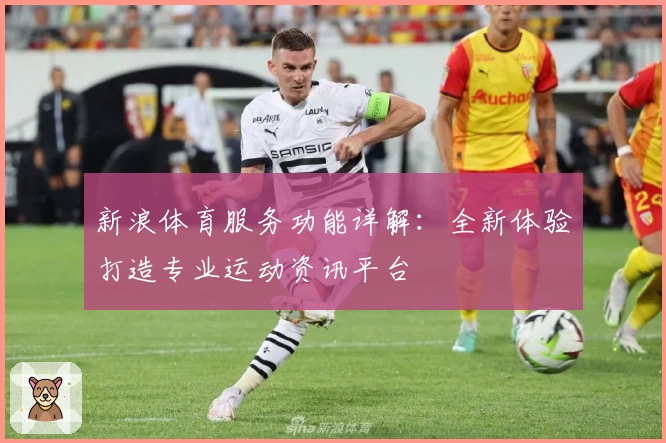 新浪体育服务功能详解：全新体验打造专业运动资讯平台