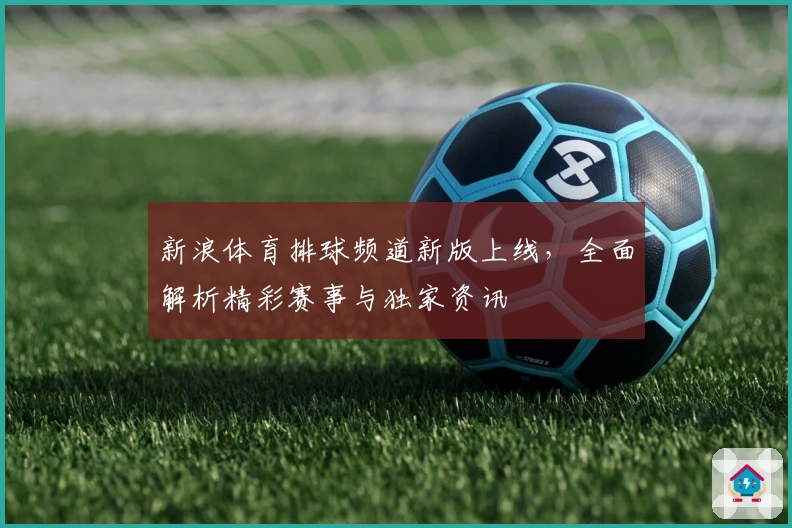 新浪体育排球频道新版上线，全面解析精彩赛事与独家资讯