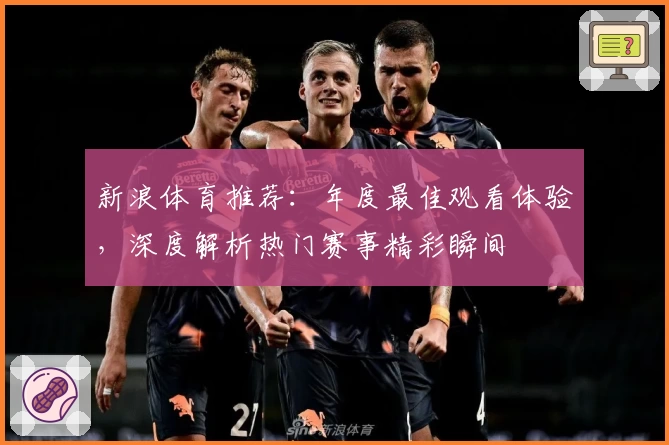 新浪体育推荐：年度最佳观看体验，深度解析热门赛事精彩瞬间