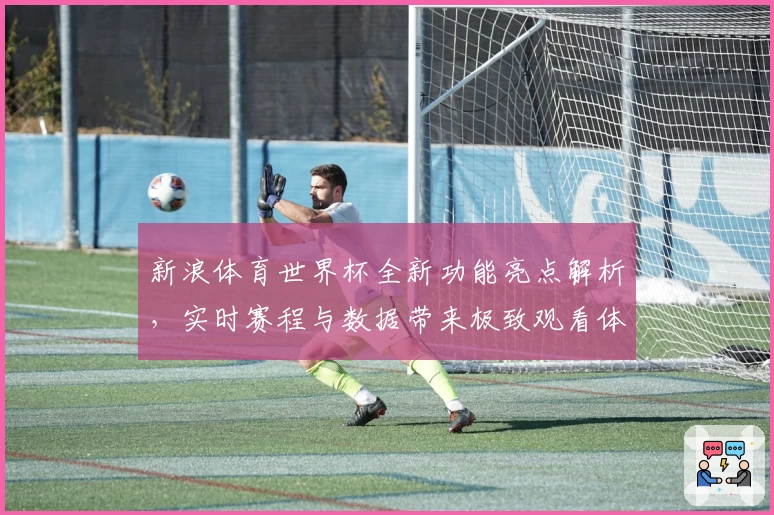 新浪体育世界杯全新功能亮点解析，实时赛程与数据带来极致观看体验
