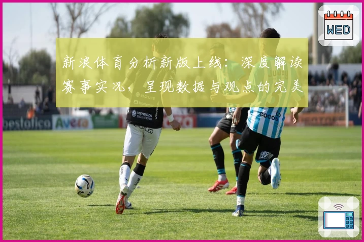 新浪体育分析新版上线：深度解读赛事实况，呈现数据与观点的完美结合